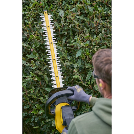 Photo of STANLEY SFMCHT655M1 hedge trimmer in use, yellow and black, trimming green bushes outdoors.